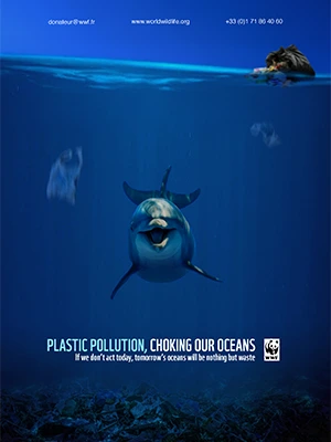 Affiche WWF